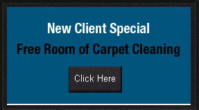 New Client Special Free Room of Carpet Cleaning